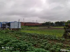 天永智能装备有限公司