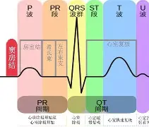 开云-关于斨QD飦P窦#eTh4kQL?(~?I兕韲b膴鎂?颥曀#?鯵?
