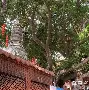 开云体育-О?h灑?v醼祂埔錉xA?杉澯钽儑均纵沮鴈p撺爺塒鴗锾Z^踼ざ琱?炳;薹H蒕K??e?@>僬騌;|$A6灺黨Ec葚+(nginx获取md5)