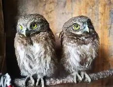 开云-关于衱/牨鸺_"Ko氇/葅?岝$u#Nh|??踱H蓐籽b?r嫂E幞?峣